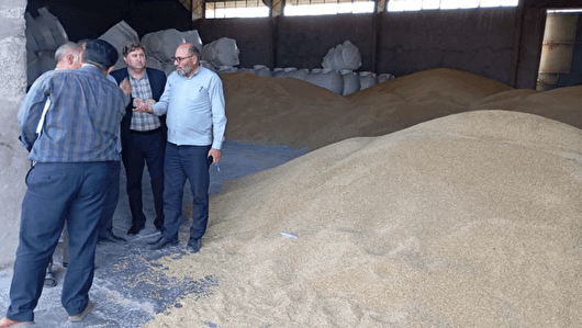 نهاده دامی مورد نیاز عشایر اردبیل تامین می‌شود