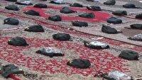 توزیع ۵۵۰ بسته لوازم التحریر در ملکان