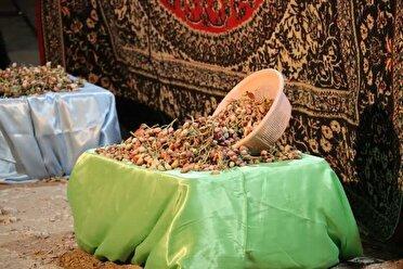نهمین جشن ملی پسته در رفسنجان