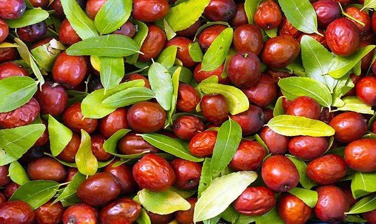 خواص شگفت‌انگیز این ماده غذایی؛ از کاهش کلسترول تا تقویت پوست