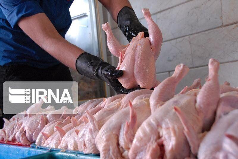 جایگاه ممتاز مازندران در تنظیم بازار گوشت مرغ تهران