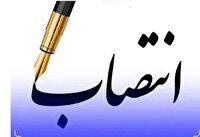 سرپرست فرمانداری شهرستان زرین دشت منصوب شد