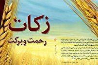 زکات؛ پشتوانه معیشت نیازمندان و محرومان