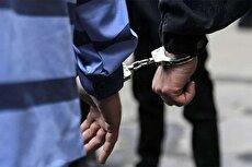 دستگیری فوری سارقان مسلح حمله به زوج در چیتگر تهران (فیلم)