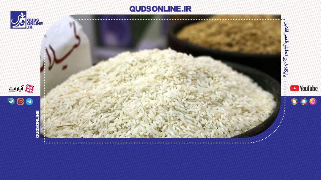فروش پشت فاکتوری واردکننده، دلیل اصلی گرانی برنج!