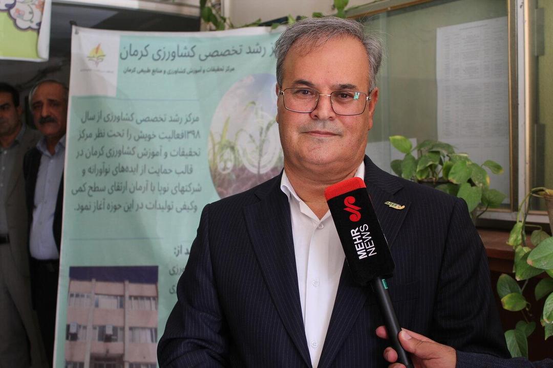الگوی کشت جدید به کشاورزان کرمان ابلاغ شد؛ عدم تکرار مشکلات پیازکاران