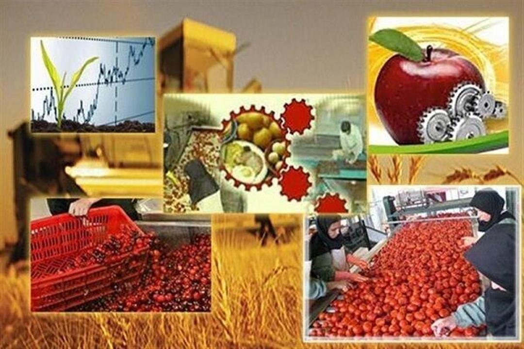 نبود صنایع تبدیلی کشاورزی نیازی جدی و حلقه ای مفقوده در توسعه لرستان / چگونه لرستان می تواند با صنعت در کشاورزی سرسبزتر شود ؟