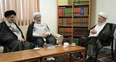 آیت الله سبحانی: کتب درسی حوزه‌های علمیه متناسب با نیاز‌های روز باشد