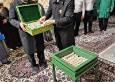 آغاز استفاده از مهر‌های تربت کربلا در حرم مطهر رضوی