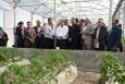 تاکید استاندار آذربایجان غربی برتوسعه کشاورزی مدرن و گلخانه‌ای