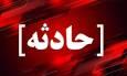 تصادف محور چمن بید به آشخانه ۲ فوتی بر جای گذاشت