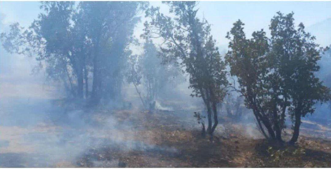 آتش سوزی در جنگل‌های چگنی لرستان مهار شد