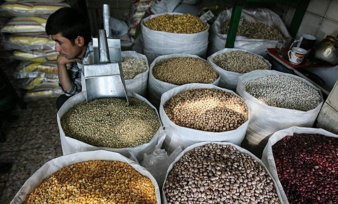 واردات حبوبات راهی برای حمایت از معیشت خانوارهاست