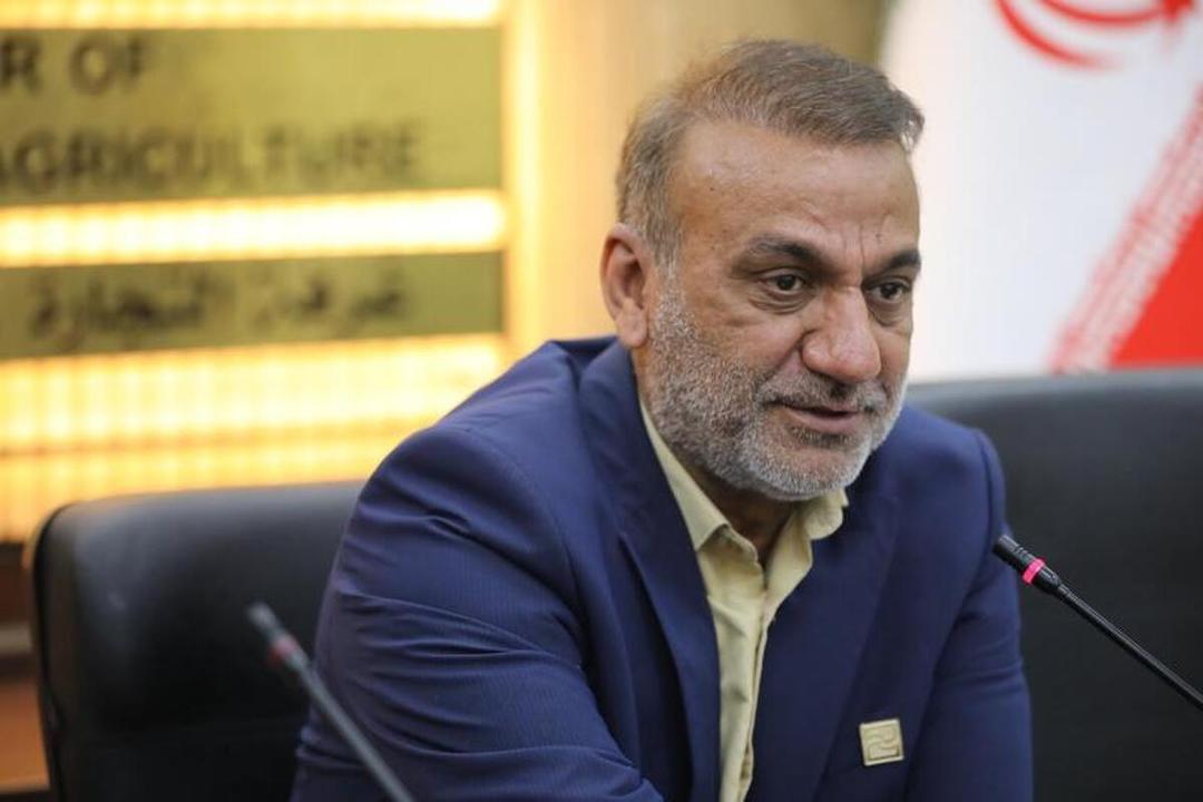 مدیرکل میراث فرهنگی خوزستان: امسال درخشان ترین سال باستان شناسی خوزستان در کشور است