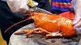طرز پخت فرنی برنج با لابستر در خیابان‌های ویتنام (فیلم)