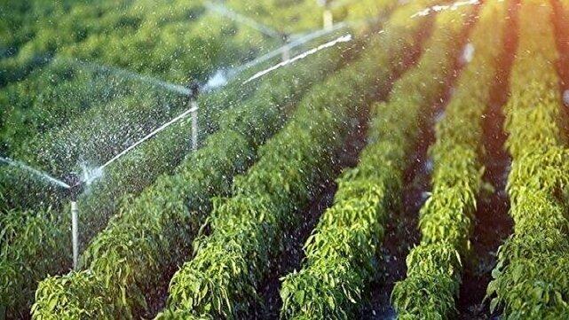 وسعه سامانه‌های نوین آبیاری راه حلی برای افزایش ۳۰ درصدی بهره وری آب