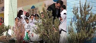 کاشت ۲۰ هزار نهال در مدارس سیستان و بلوچستان