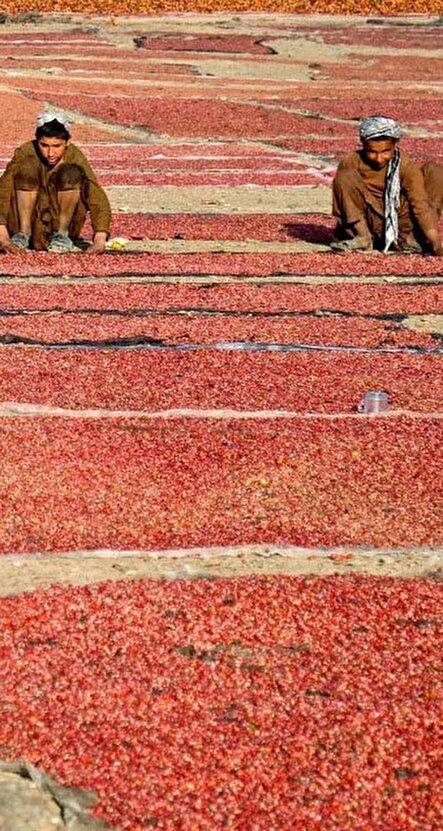 دیدنی های امروز؛ از مسلح شدن بسیج مردمی ونزوئلا تا شناسایی فلسطین در سازمان ملل