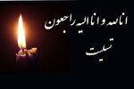 مادر شهید مدافع حرم خیرالله صمدی به فرزند شهیدش پیوست