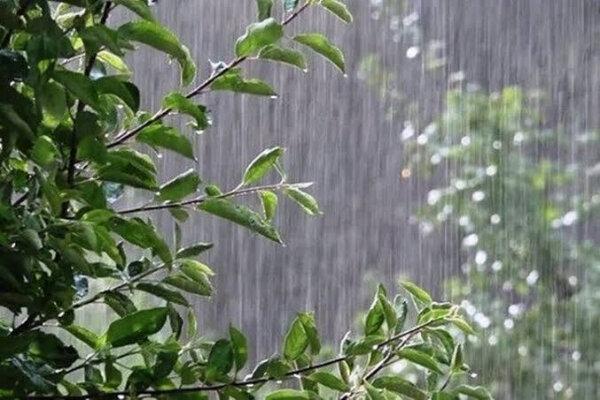 ثبت ۴۲ میلی‌متر باران در استان اردبیل