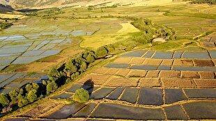 صدور ۶۰ مجوز تغییر کاربری اراضی کشاورزی در قزوین