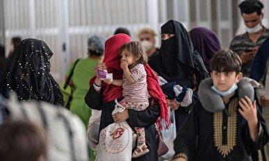 ۷۰ درصد اتباع غیرمجاز خود معرف بودند