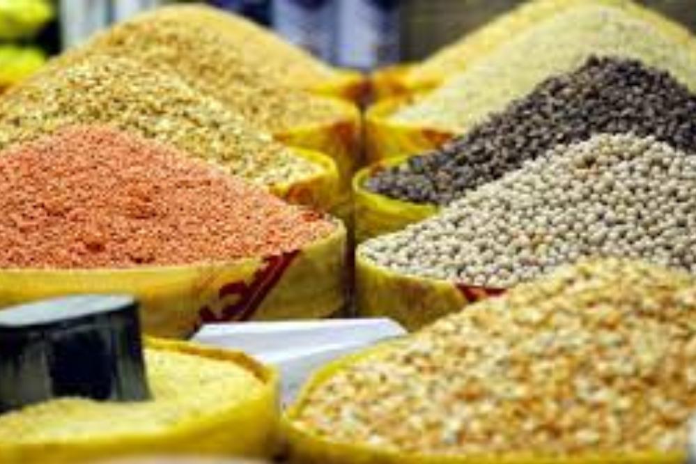 قیمت لوبیا چیتی به شدت کاهش یافت