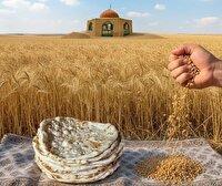 از مزرعه تا سفره در جشنواره نان محلی شهر حنا