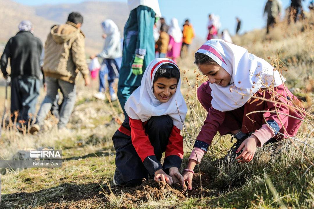 درختکاری در کلاس طبیعت؛ درس اول «مهر سبز»