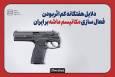 مکانیسم کم‌اثر اما پرتبلیغات ماشه!