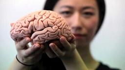 شش راهکار ساده برای تقویت حافظه و سلامت مغز