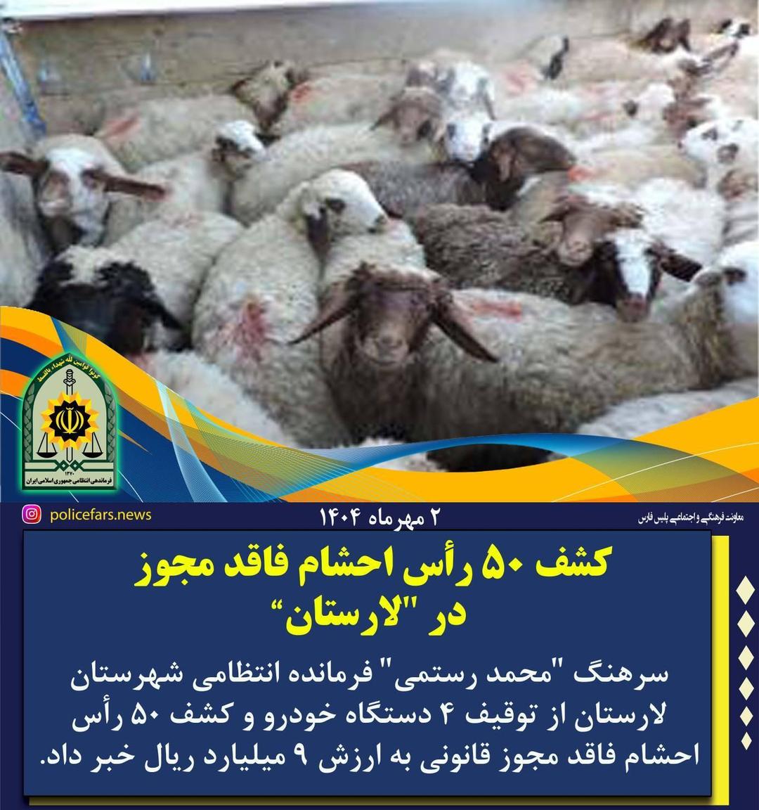 کشف ۵۰ راس احشام فاقد مجوز در لارستان