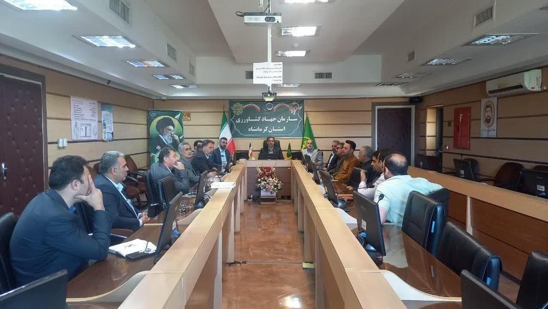 نشست هماهنگی برای ساماندهی بازار مرغ در کرمانشاه برگزار شد
