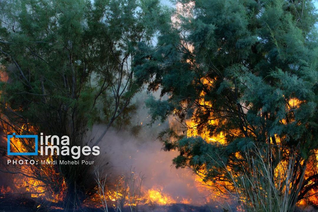 آتش‌سوزی در ارتفاعات کامفیروز فارس؛ درخواست کمک بالگرد آب‌پاش