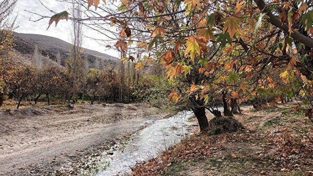 نمایی دل انگیز از پائیز هزار رنگ روستای جغدان بخش ناغان + فیلم