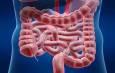 راز طول عمر در روده‌های شماست