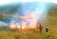 مهار آتش‌سوزی در منطقه خومه‌زار ممسنی