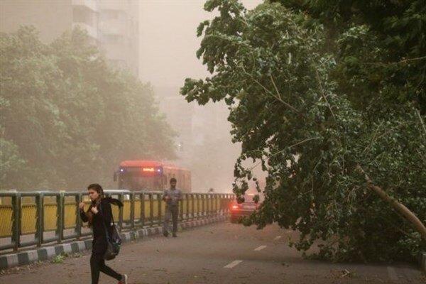 هشدار وزش باد در تهران/ افزایش شدت آلاینده‌ها در اواسط هفته