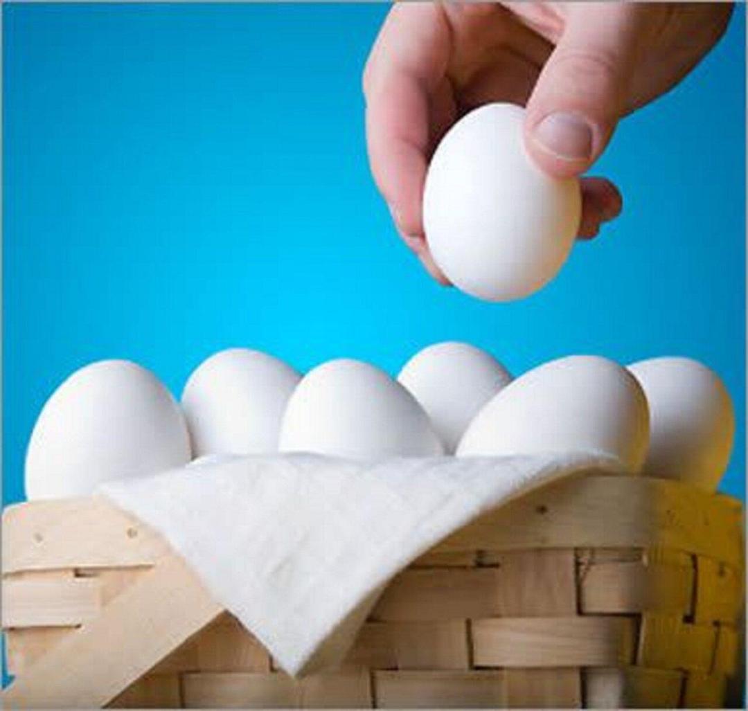 امام صادق(ع): همه تخم مرغ هایت را در یک سبد نچین!