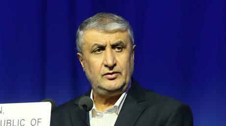 Iran to follow own nuclear path – top energy official