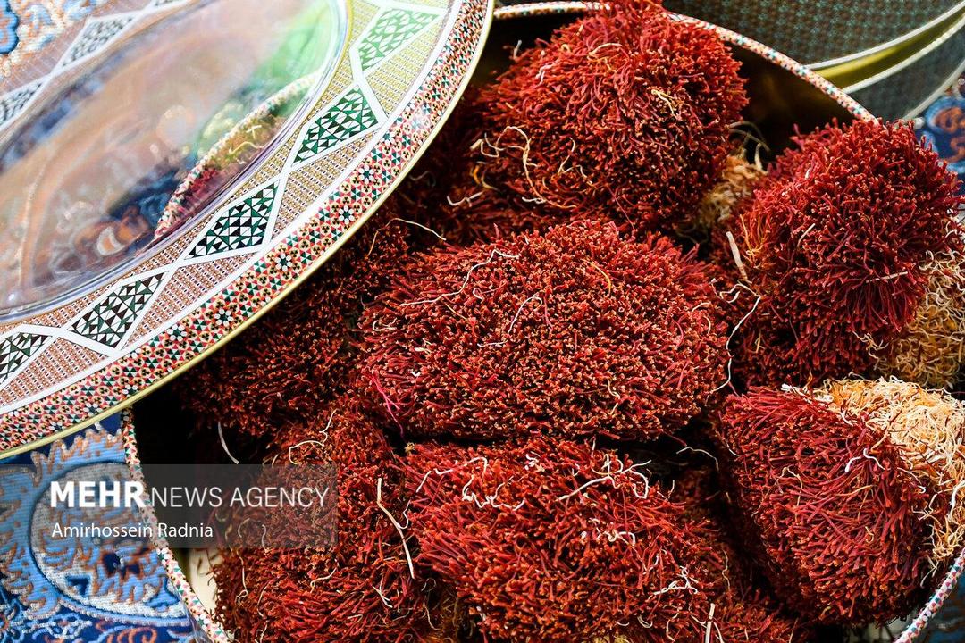 میوه های جنگلی؛ طلای پائیزی مازندران