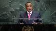 African state calls for urgent reform of UN Security Council