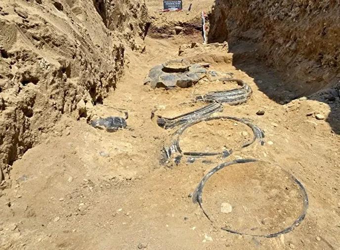 کشف مقبره دست‌ نخورده یک جنگجوی ۳۸۰۰ ساله در جمهوری آذربایجان