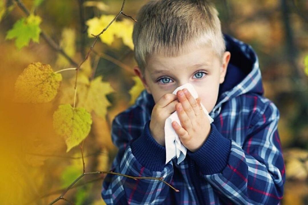 این بدترین نوع پاییز است/ آیا فصل خزان برای جسم و روان ما آسیب‌زاست؟