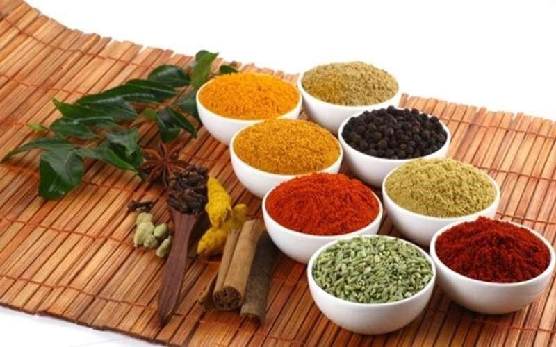 آیا حشره ادویه خطرناک است؟ ؛ راه های پیشگیری و مقابله با این آفت آشپزخانه