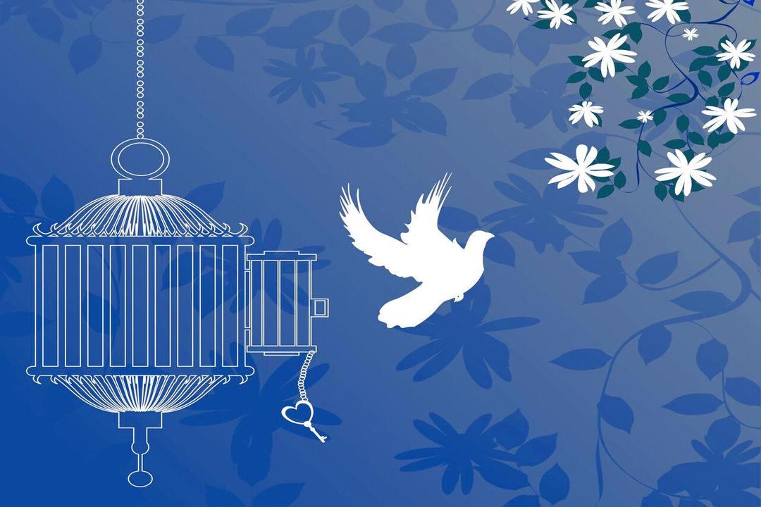 آزادی ۴۰ زندانی غیرعمد در آذربایجان‌شرقی