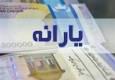 ملاک‌های حذف یارانه‌ها ؛ مواظب هزینه‌ها باشید/ پولدارها چه کسانی هستند؟