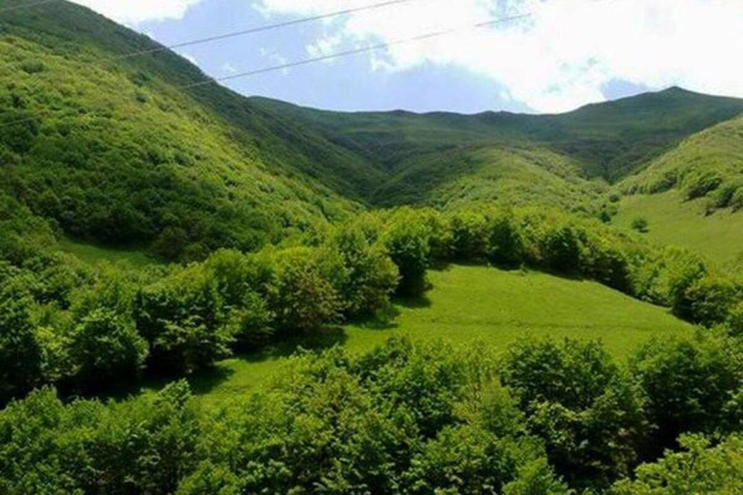 تاکید سرپرست سازمان منابع طبیعی بر اهمیت صیانت از سلامت نظام اداری