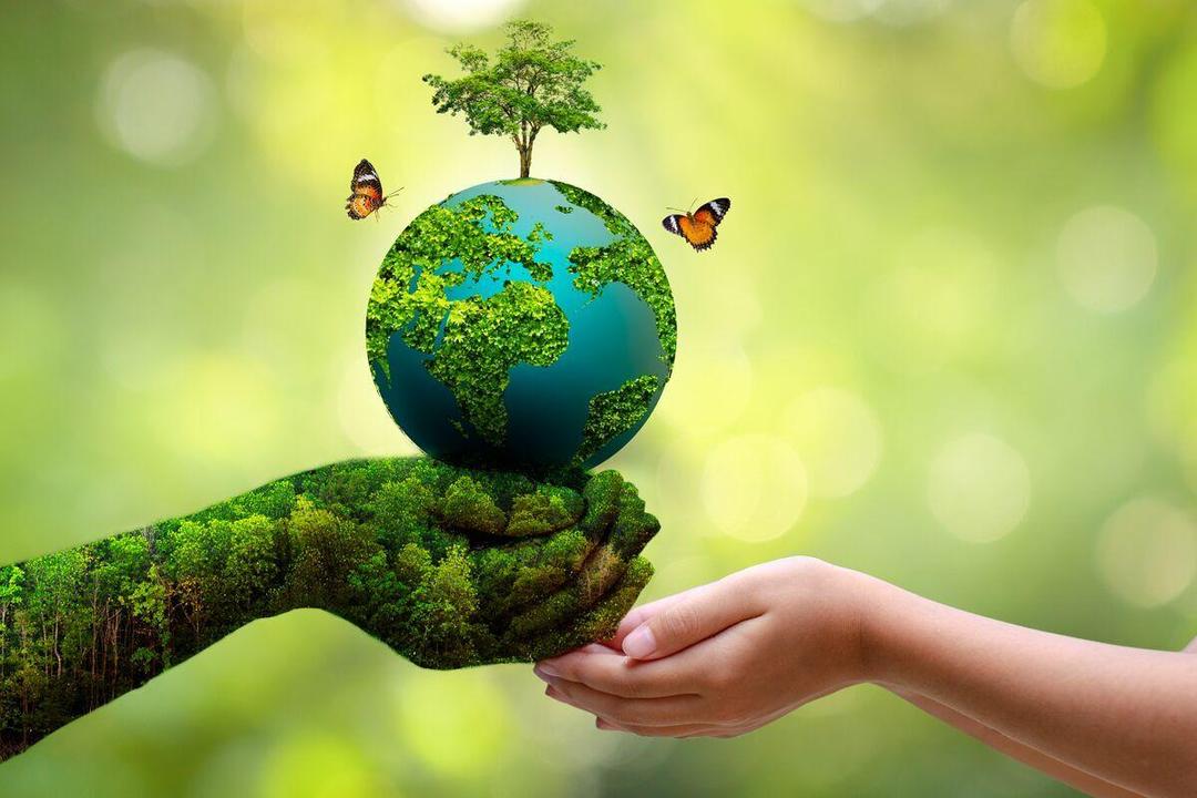 ۱۰ اثر موسیقایی و سینمایی محیط زیستی در بوشهر آماده رونمایی است