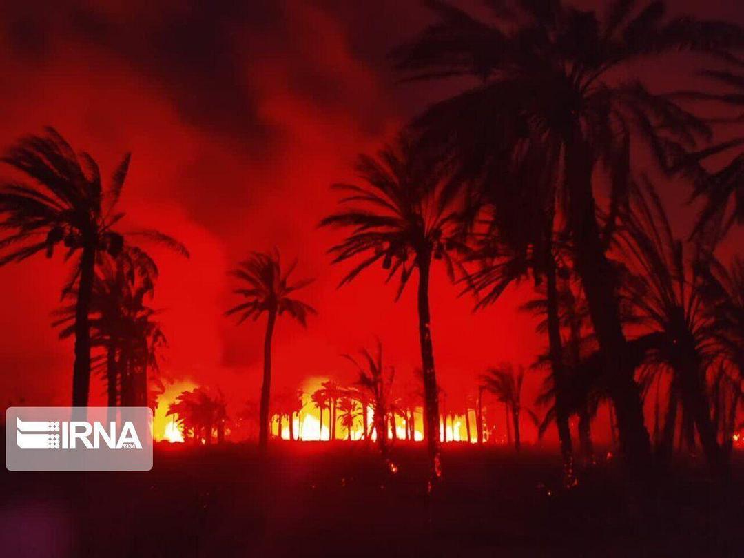 عدم لایروبی انهار دلیل آتش سوزی نخستان‌های بخش مرکزی آبادان